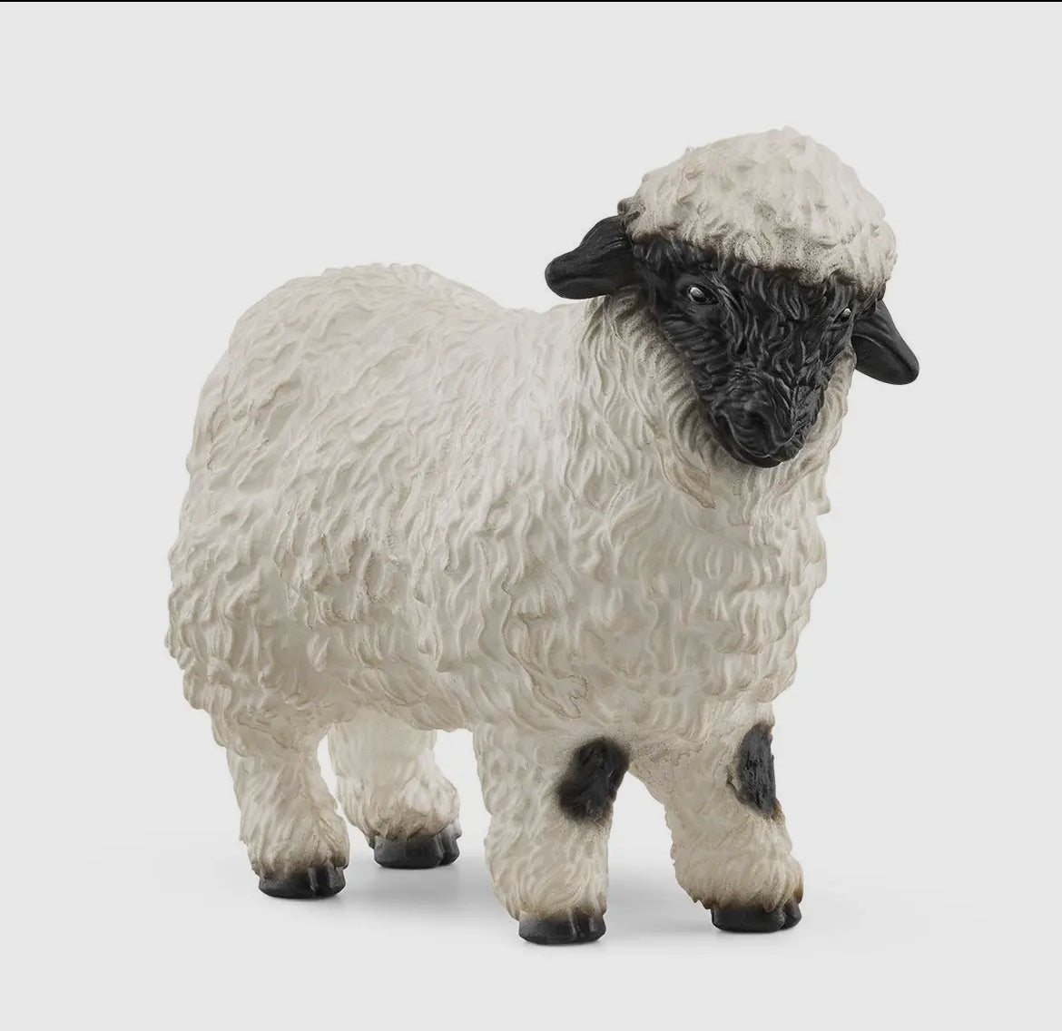 Schleich |Black Face Sheep