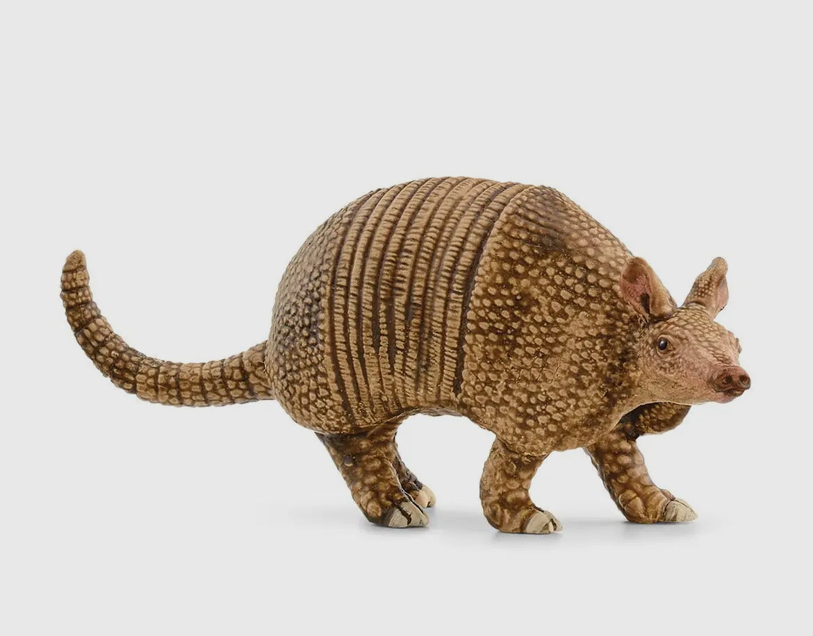 Schleich|Armadillo