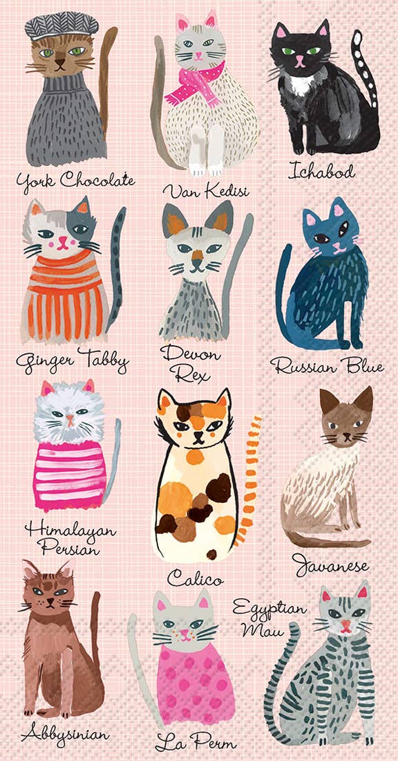 Boston International - Paper Guest Towels 16 count Cool Cats