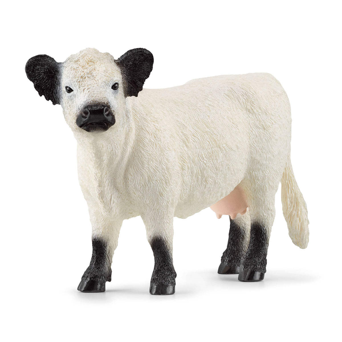 Schleich - Galloway Cattle Farm Toy