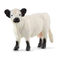 Schleich - Galloway Cattle Farm Toy