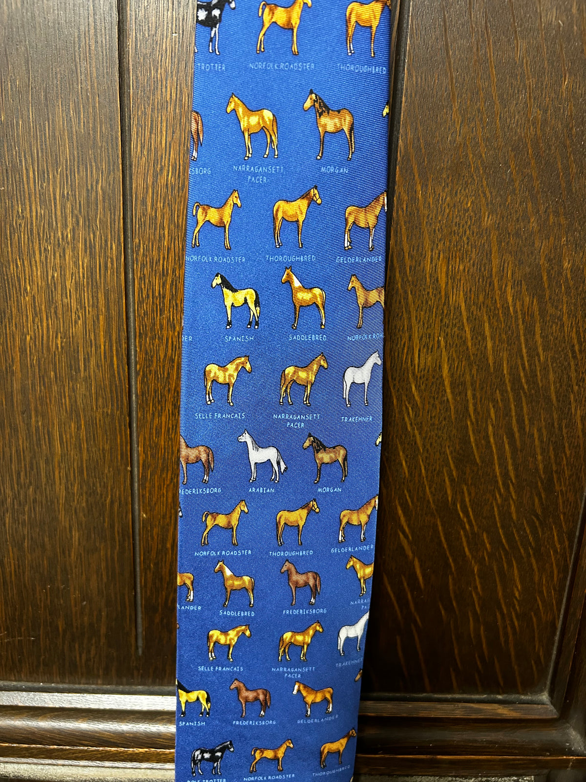 Necktie |Horses|Name that Horse