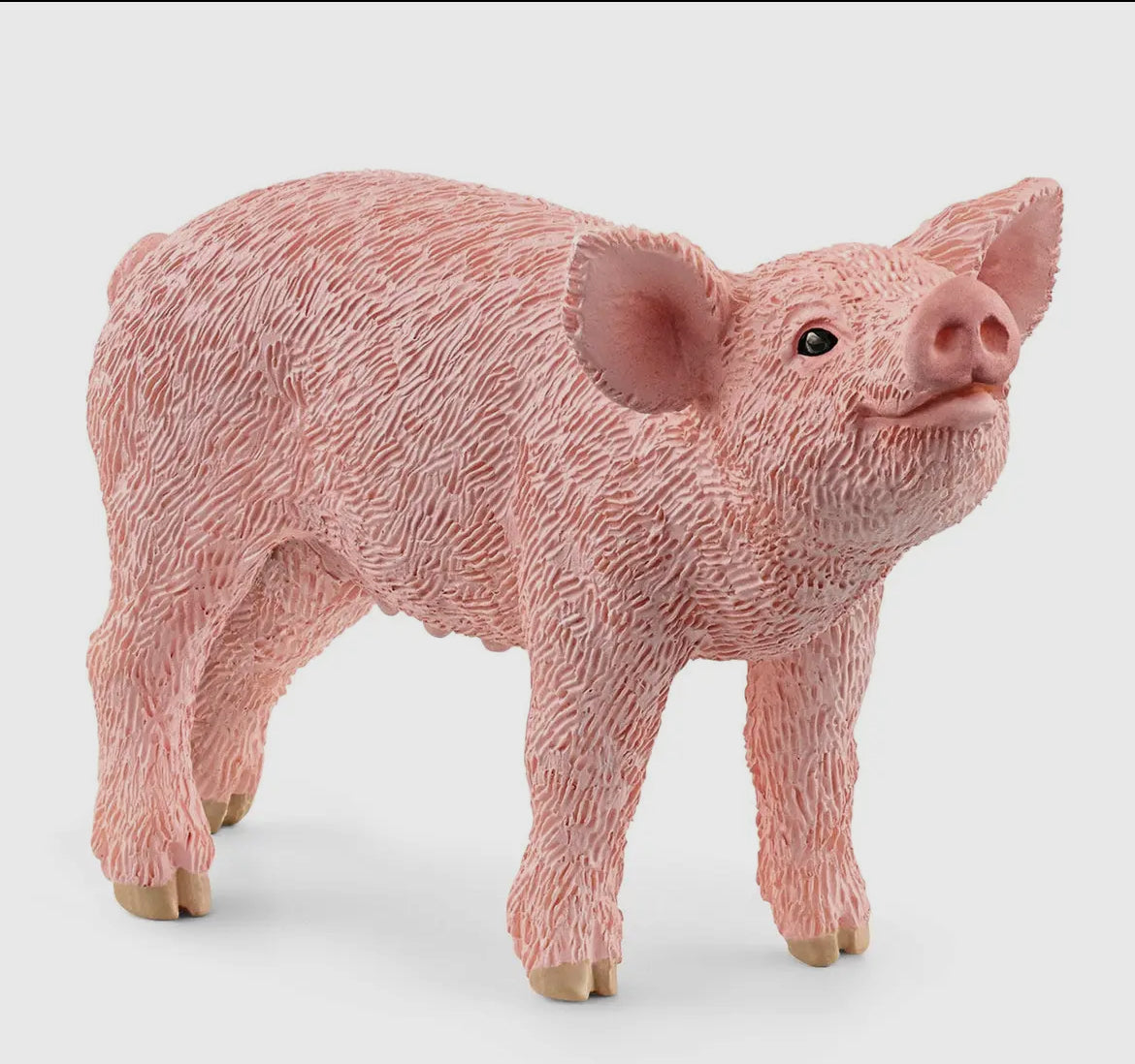 Schleich |Pig