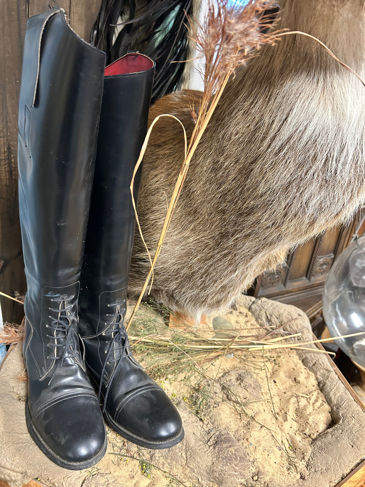 Riding Boots| English | Field Boots | Black