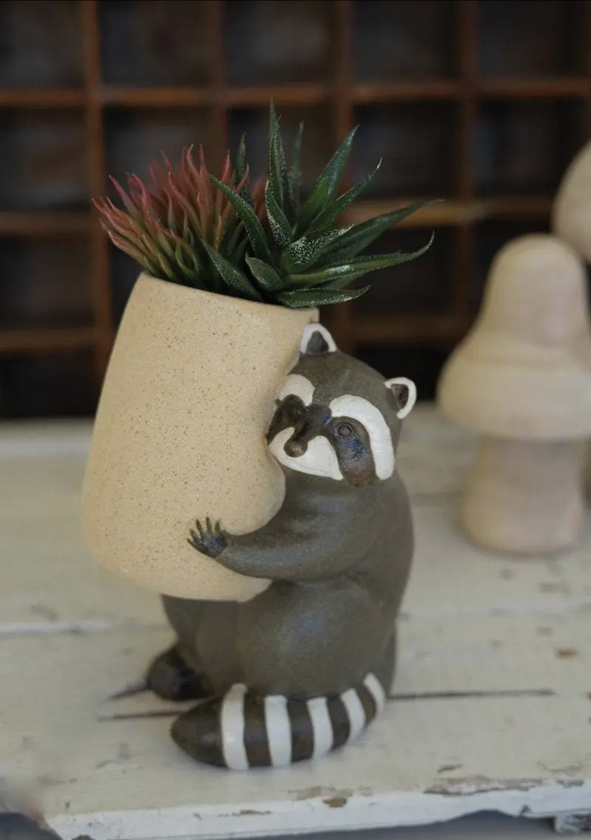 Planter|Raccoon |Succulent |