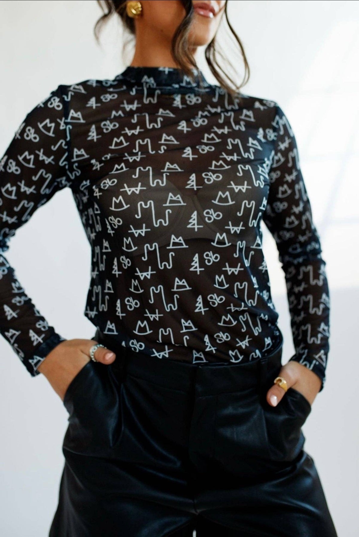 Mesh Top | Black Brand | Sheer | Mock Neck