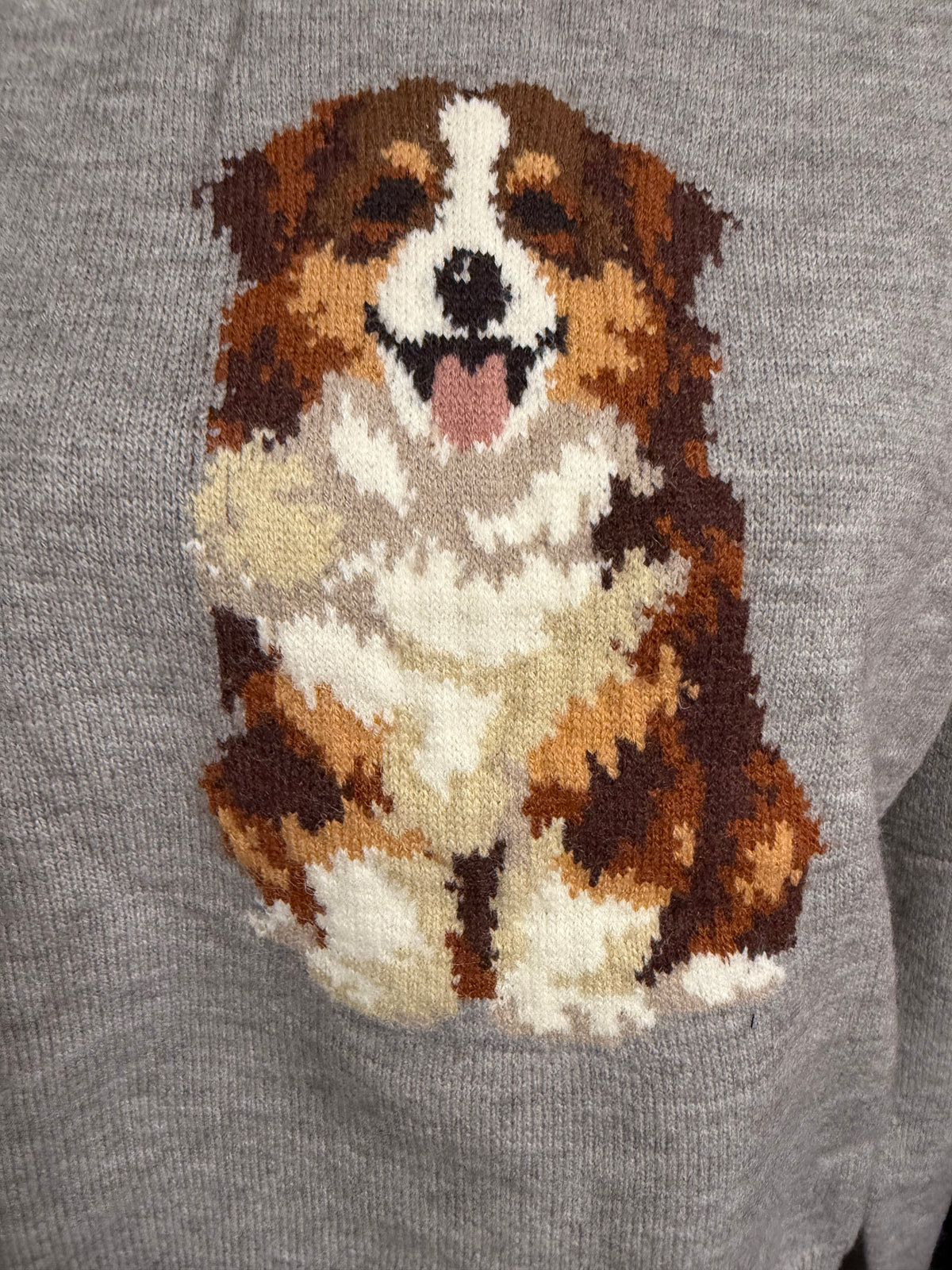 Sweater | Aussie Shepherd