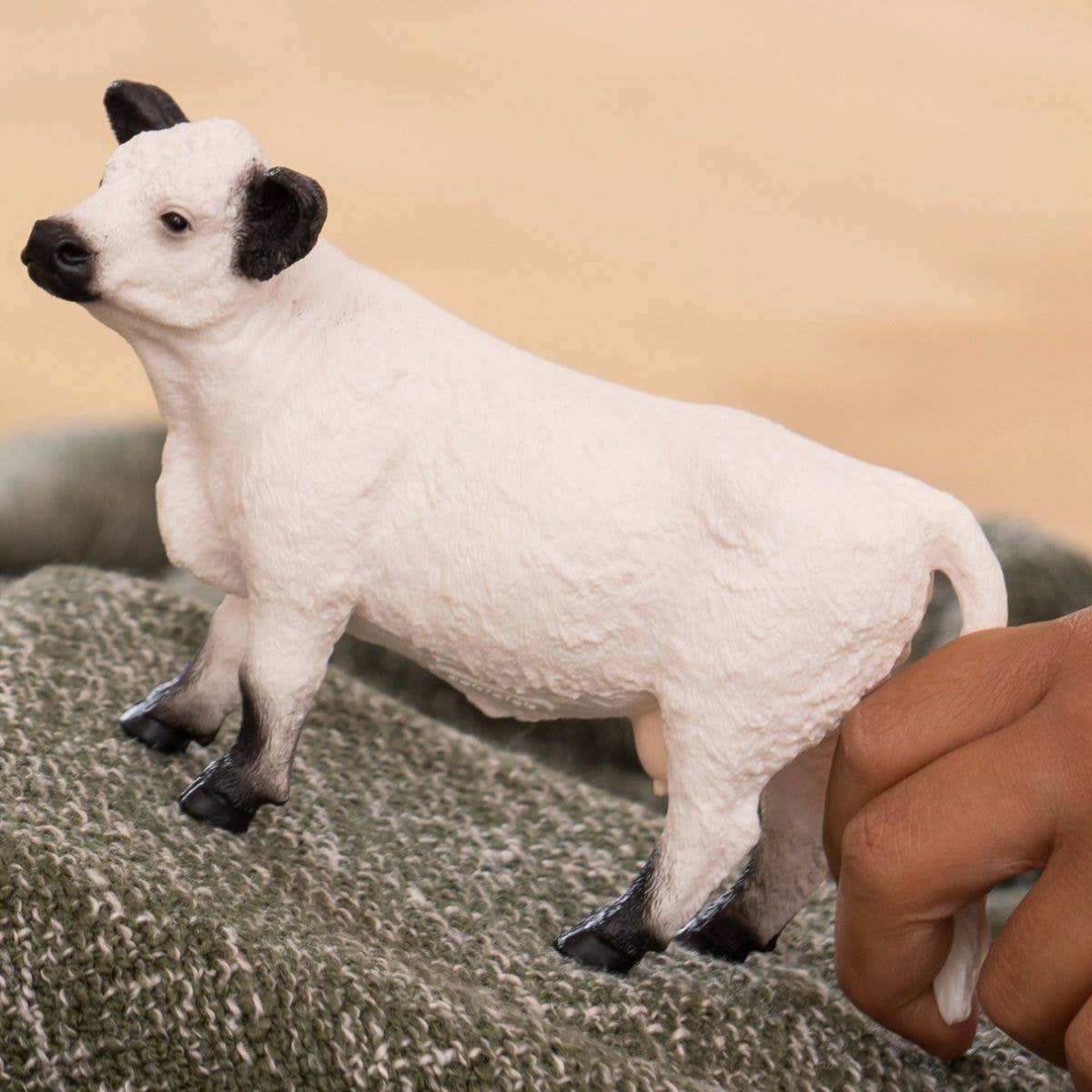 Schleich - Galloway Cattle Farm Toy