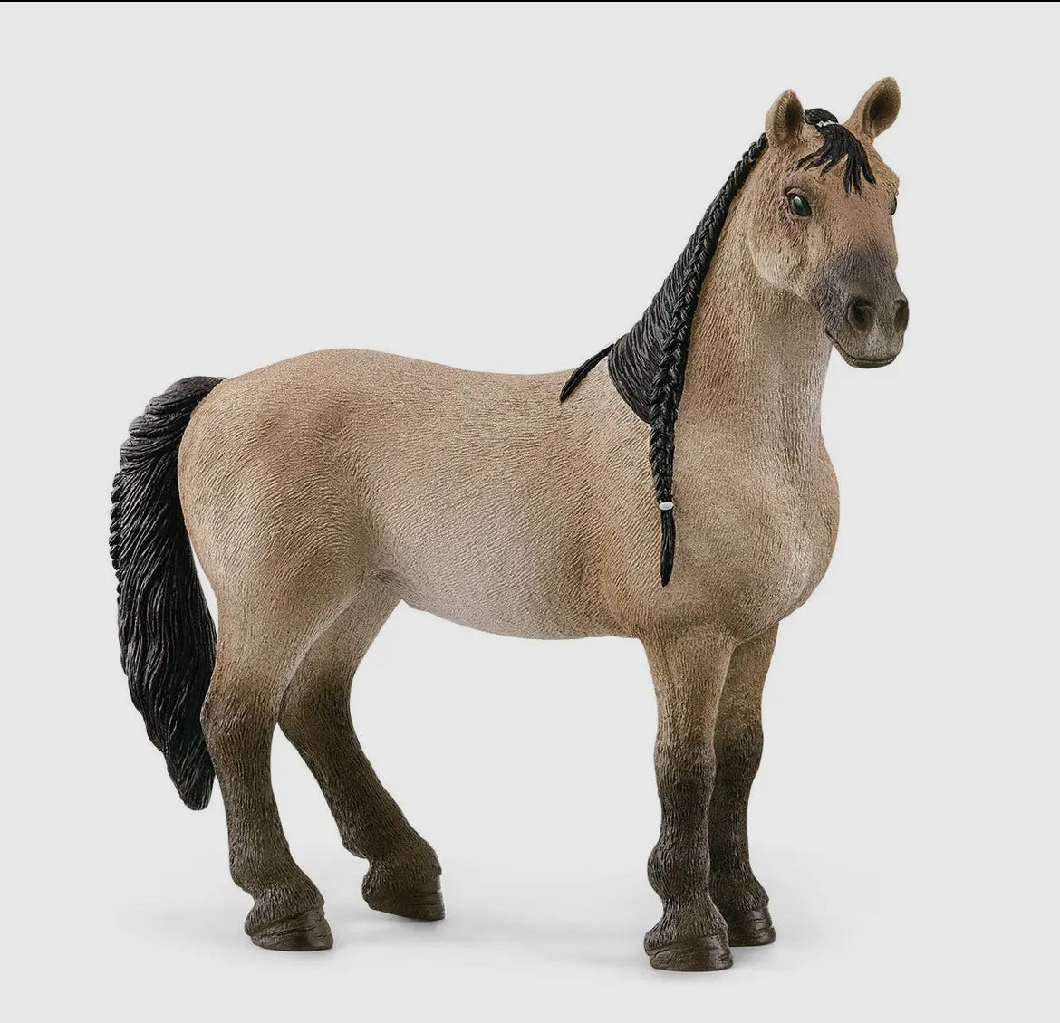 Schleich|Horse|Criollo Definitivo |mare