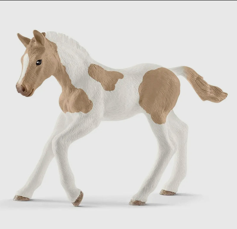 Schleich|Horse|Paint Horse Foal