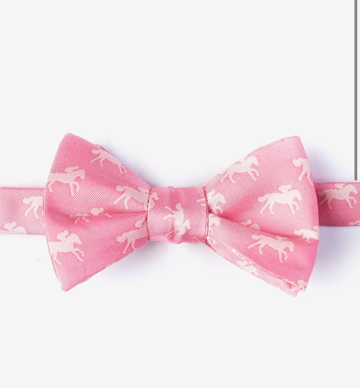 Bow Tie | Photo Finish | Pink