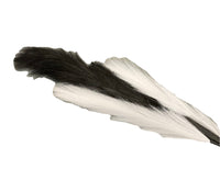 Pampas Grass | fabric