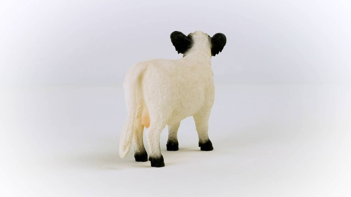 Schleich - Galloway Cattle Farm Toy