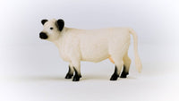 Schleich - Galloway Cattle Farm Toy